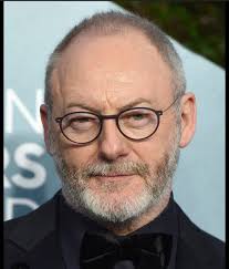 So, I have been watching the new fallout series