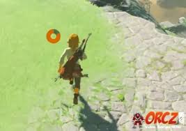 Hearts Or Stamina: What To Get First - The Legend Of Zelda: Tears Of The  Kingdom | Shacknews