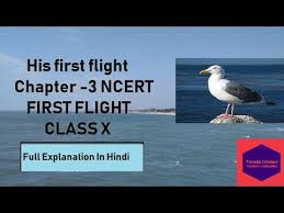 Seagle, joe kelly, joe casey and duncan rouleau). His First Flight Class 10 His First Flight In Hindi Youtube