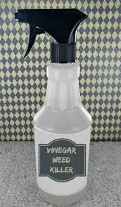 It is registered under the canadian pest control products act and is produced from concentrated acetic. Vinegar Weed Killer Killing Weeds The Organic Way