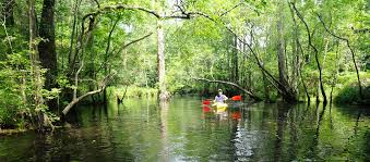We boat together, we learn together, we help each other, and we help the boating community. Epa Confirms Cape Fear River Is Not A Swamp Southern Environmental Law Center