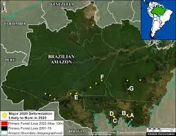 These maps show the locations of actively burning fires around the world, detected by instruments aboard nasa satellites. Maap 119 Predicting 2020 Brazilian Amazon Fires Maap