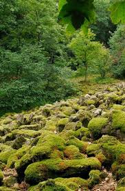 There are 21 moderate trails in unesco biosphärenreservat schwäbische alb ranging from 4.6 to 18.5 miles and from 935 to 2,837 feet above sea level. Im Unesco Biospharenreservat Rhon Laden Uber 30 Lehrfade Und Naturpfade Zur Beschaftigung Mit Einzelthemen Ein Zwei Wildparks Erganzen Das Natur Gelehrte Bio