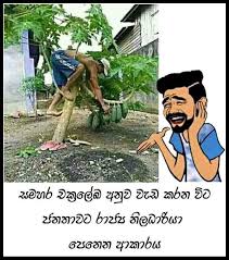 Funny Sinhala Sinhala Jokes Srilanka Jokes Sinhala Vihilu Amda Joke Funny Sinhala Videos Sri Lanka Politicle Joke El Jokes Photos Funny Best Friend Memes Jokes