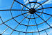 Polycarbonate Roof