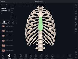 We can use the collisional cross section to find how large the distance between two particles must be in order for a collision to occur. Cross Sections The New Way To Learn Anatomy In Context Complete Anatomy