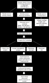 breeder protocol