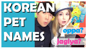 Tips for selecting a nickname. Korean Pet Names Youtube
