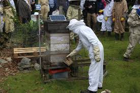 We did not find results for: Monitoring Bees With A Raspberry Pi And Beemonitor Raspberry Pi