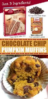 3 Ingredient Chocolate Chip Pumpkin Muffins Recipe Pumpkin Chocolate Chip Muffins Pumpkin Recipes Pumpkin Dessert