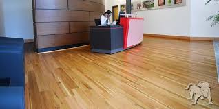 With The Specially Formulated Eco Shield Hardwood Floor Finish Your New Green Floor Will Last Longer Due To Higher Than Flooring Green Flooring Recycled Wood