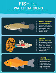 Being able to clean these containers with a turkey baster allows you to. Bringing Water Features To Your Garden Fix Com