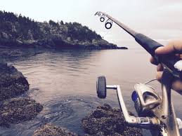 Here are 25 hobbies and pastimes you can start for less than $10. 15 Best Hobbies You Can Do Alone Solitary Beast