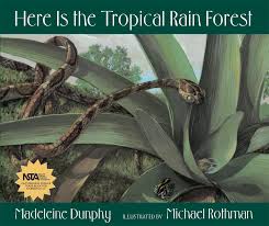 Here Is The Tropical Rainforest Rain Forest Book Forest Book Tropical Rainforest