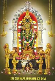 Om Sri Gnana Prasunamba Ammavaru Sri Kalahasthi Srikalahasti Temple Saraswati Goddess Hindu Deities