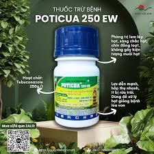 Poticua 250EW