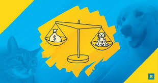 Rescue group best practices creating a budget and business plan. How To Budget For Pet Costs Ramseysolutions Com