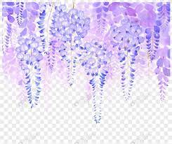 Flowers Purple Flowers And Rattan Wisteria Flowers Flower Pictures Flower Png Images Wisteria