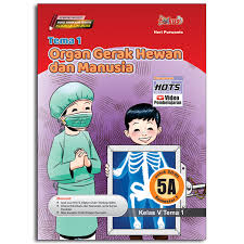 Kunci jawaban tematik tema 7 kelas 6 subtema 1 pembelajaran 4 kunci jawaban halaman 33 ayo berdiskusi seorang dokter, guru, kepala sekolah Tema 1 Untuk Sd Mi Kelas V Fokussindunata Net