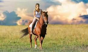Maybe you would like to learn more about one of these? Horse Riding What Is It Characteristics History Disciplines Rules Clothing