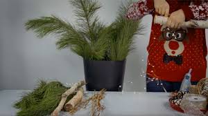 A paillettes, transparente, fabriquée maison ou achetée en magasin, elle se suspend aux branches du sapin et semblent flotter. Jardiniere De Noel Jardiner Avec Pro Mix