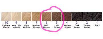 Brown blonde hair light brown hair brunette hair dark hair medium hair styles short hair styles non blondes hair color balayage brown hair colors. Dark Blonde Vs Light Brown I Ll Help You Choose The Best Color For Your Hair
