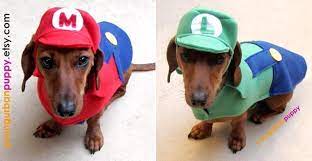 Super Mario Bros Series Dog Costume Gadgetsin Dog Costume Dog Halloween Costumes Mario Dog Costume