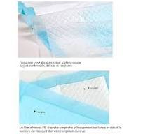 100 Pièces Alese Jetable, Alèses Jetables 25 Pièces 33x45cm Bleu 5 Plis,  Tapis Absorbant Chien, Absorbance, Alèses De Protection De Literie, Pee Pad  ...