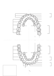 Dental Charting Dental Index Jr Online Dental Tutor