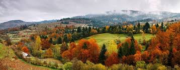 Pensiunea ileana petreus is located at comuna poienile izei, nr. Updates From Pensiunea Ioana Din PoianÄƒ Facebook