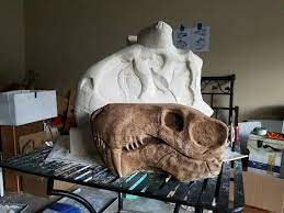 Gorgonopsid Skull Life Size For Sale On Ebay Skull Prehistoric Prehistory
