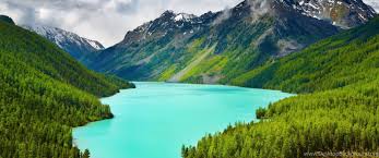 Check spelling or type a new query. Ultra Hd 8k Resolution Desktop Wallpapers 7680x4320 Desktop Background