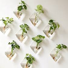 Pin On Green Walls