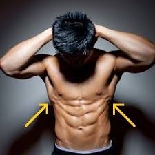 Or will there be an email follow up saying 'dispatched' etc. Serratus Anterior Exercises For Winged Scapula Posture Direct