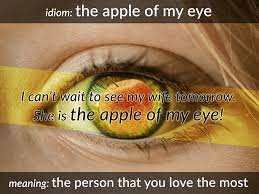 Learn this english idiom along with other words and phrases at writing explained. Idiom The Apple Of My Eye Funky English