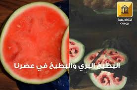 اللوحة على يمين الصورة رسمها الفنان جيوفاني ستانشي Giovanni Stanchiفي القرن السابع عشر يبدو البطيخ في هذه اللوحة مختلفا بشكل واضح عما ن Watermelon Fruit Food