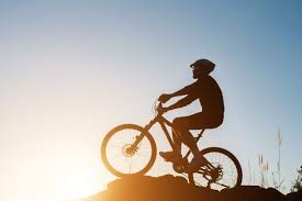 Download Contour Bicycle Cyclist Tour Sport For Free In 2020 Bicycle Tours Cyclist