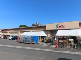 - 大規模小売店舗マニアのブログ