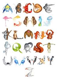 Art Animal Alphabet Illustrated Animal Alphabet Poster Wall By Hannypillustrations 20 00 Alphabet Poster Alphabet Illustration Alphabet Art Print