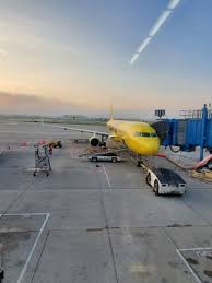 Your experience can help others make better choices. Spirit Airlines 71 Photos 330 Reviews Airlines 1 Detroit Metropolitan Airport Detroit Mi Phone Number