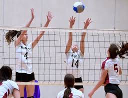 Surprising Wildcats 7th At Provincials Richmond News