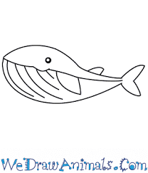 We've assembled some of our top tips for creating striking black and white drawings—depending on if you're using pencil, charcoal, ink, or paint. How To Draw A Simple Whale For Kids