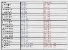 Mastiff Growth Chart Goldenacresdogs Com