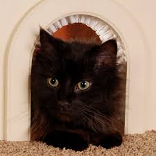 Cat door installation kit for an interior door (this is the best cat door we remove your door from the hinges. Cat Hole Cat Door Cat Doors Petsmart