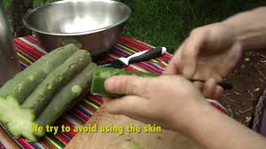The properties and effects of this sacred plant? How To Prepare San Pedro Cactus Paste Mescaline Youtube