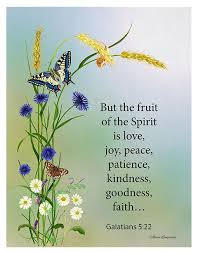 Pin On Butterfly Scriptures