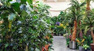 Best Artificial Outdoor Plants For