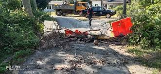 Latar belakang organisasi dan pucuk pimpinan. Penghadang Batu Ganti Plastik Tutup Laluan Tikus Di Besut