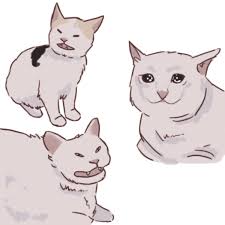 Artist Rendition Crying Cat Cat Art Cute Drawings Cute Art