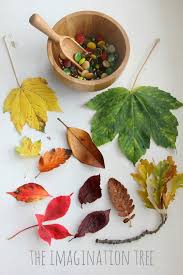 See this project at mrs myers' kindergarten. Reggio Emilia Archives The Imagination Tree